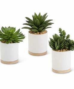 K&K Interiors Succulents In Ceramic White Pot W/Natural Wood Base
