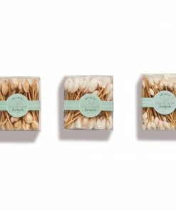 Two's Company Seashell Hors D'Oeuvre Picks In Gift Box Tabletop