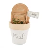 Mud Pie Parsley Planter Set