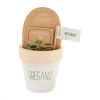 Mud Pie Oregano Planter Set