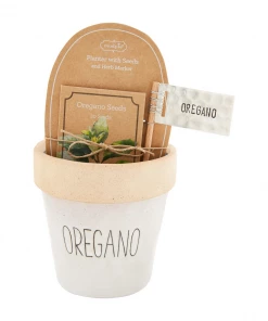 Mud Pie Oregano Planter Set