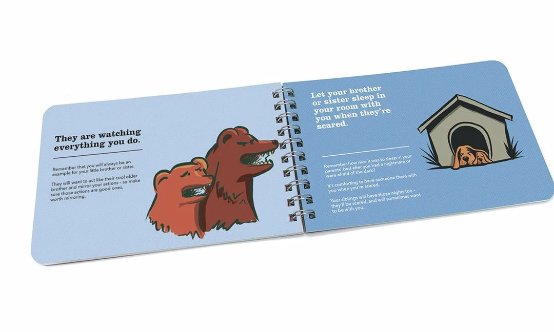 Papersalt Being A Big Brother - Guidance And Advice For Big Brothers Gifts