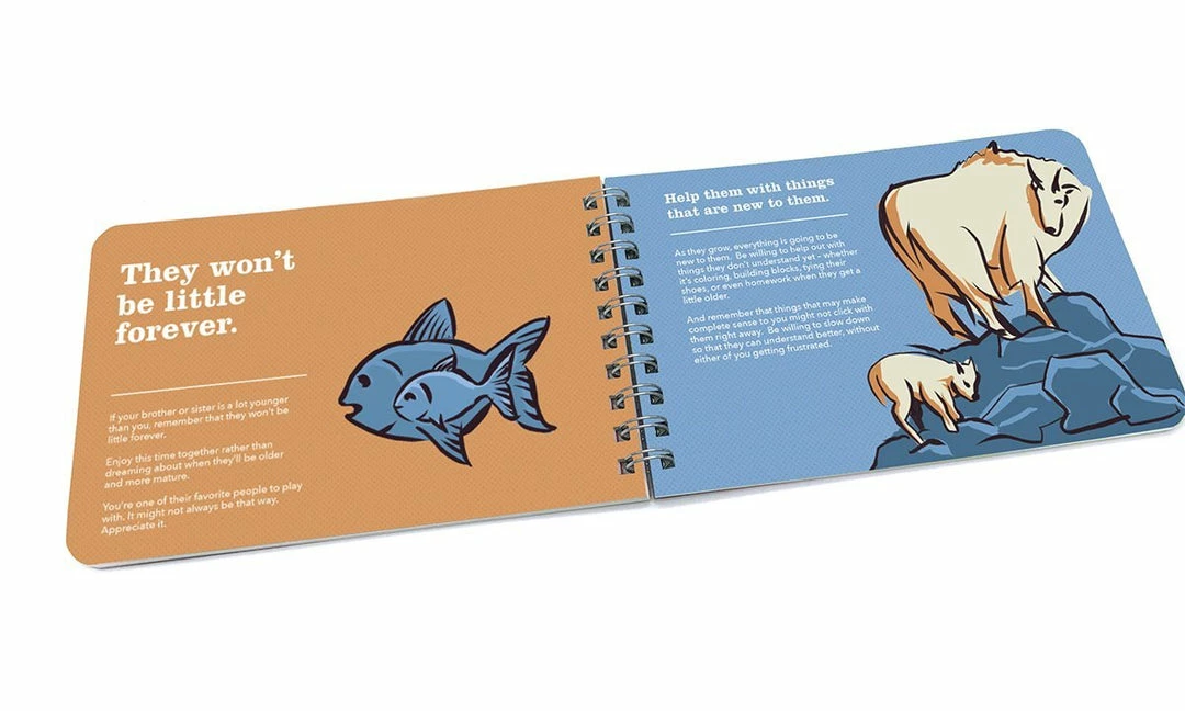 Papersalt Being A Big Brother - Guidance And Advice For Big Brothers Gifts